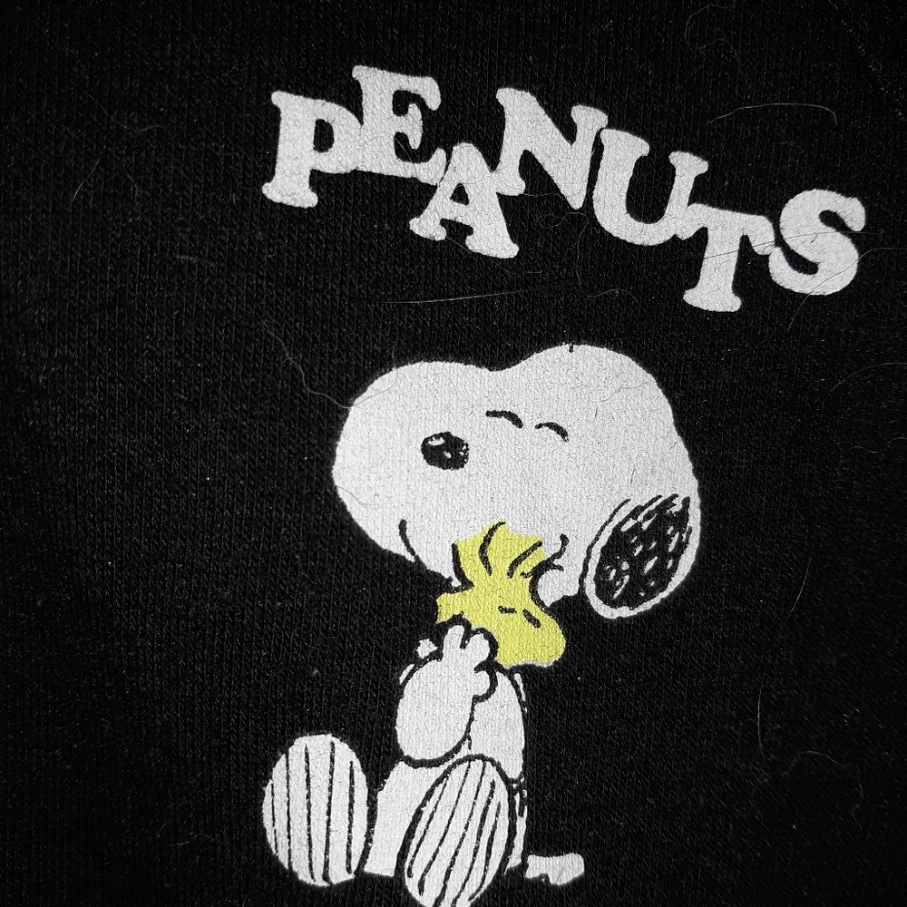 Torrid Peanuts Snoopy and Woodstock Hoodie